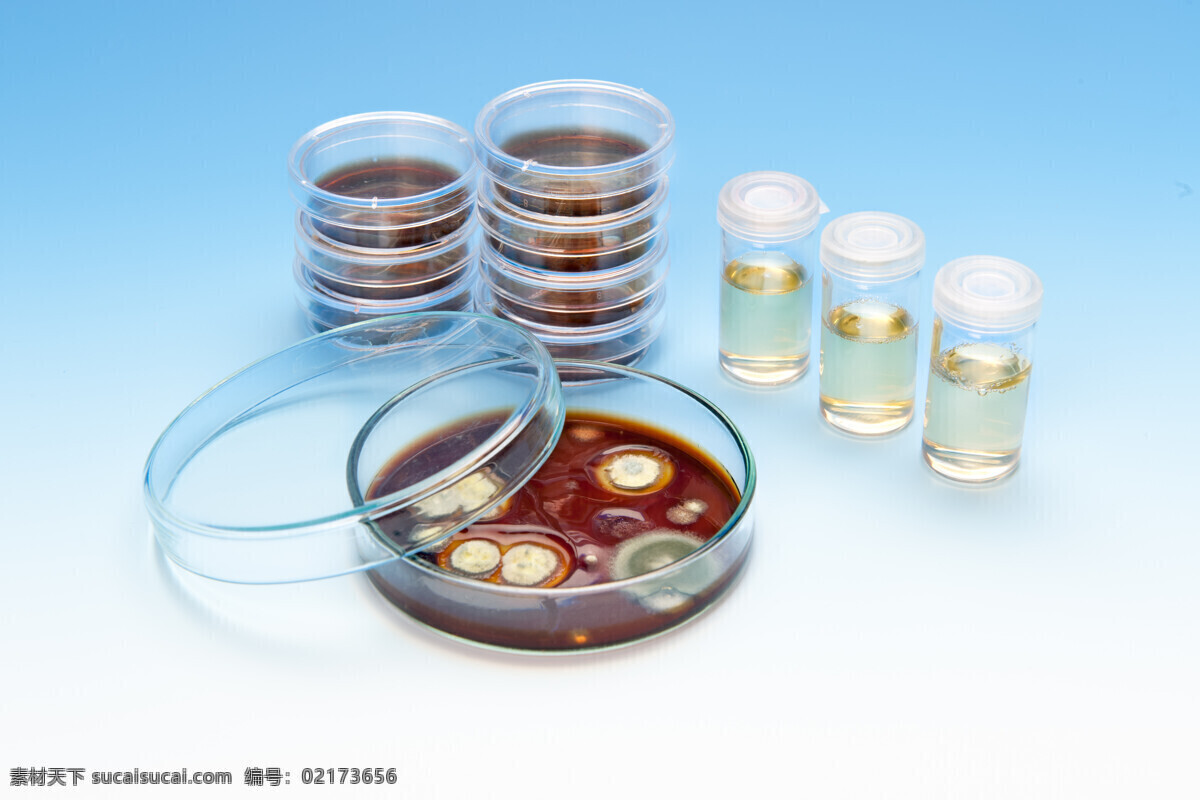 病毒 科学 科学研究 生物科技 实验 试管 试验 细菌 培养皿 微生物 现代科技 矢量图