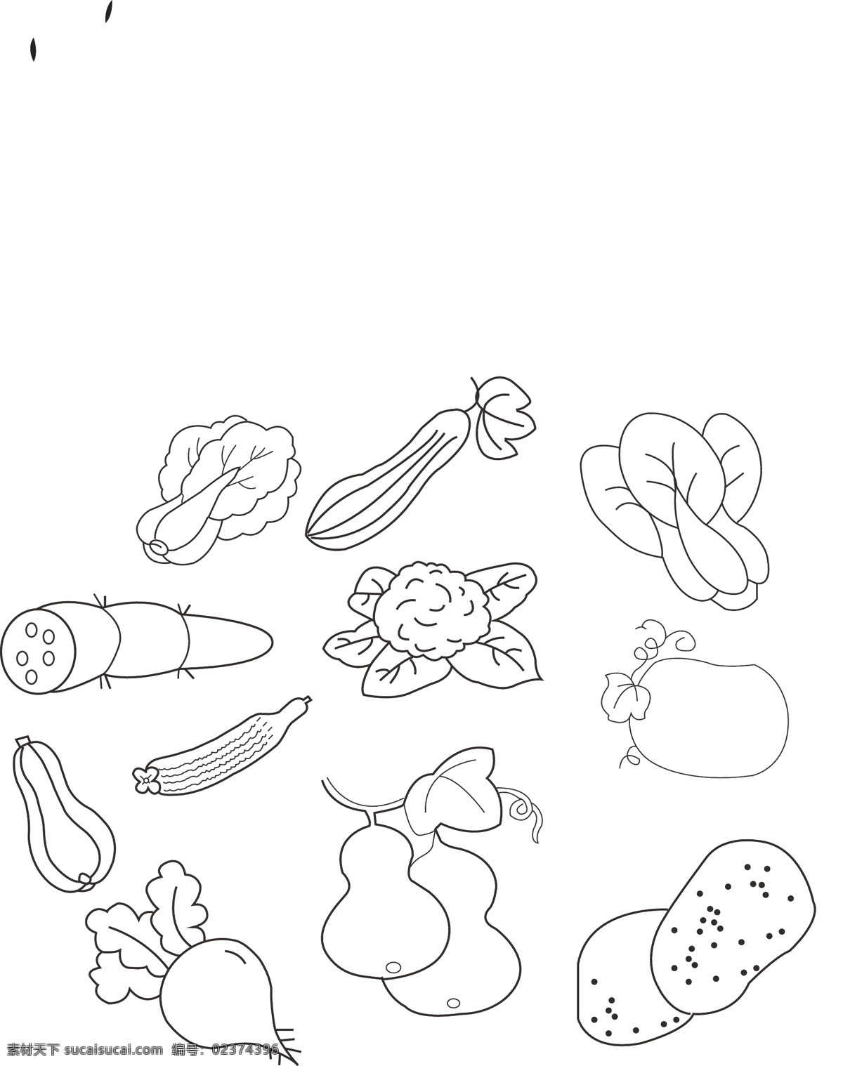 蔬菜简笔画 蔬菜 简笔画 大蒜 青椒 蘑菇 茄子 西红柿 胡萝卜 圆萝卜 南瓜 白菜 丝瓜 小白菜 莲藕 菜花 冬瓜 西葫芦 黄瓜 葫芦 萝卜 土豆 蔬菜大全 标志图标 其他图标