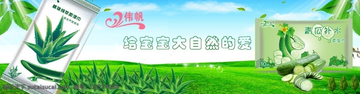 伟 帆 湿巾 大自然 芦荟 绿色 展板模板 自然风景 伟帆 伟帆logo 其他展板设计