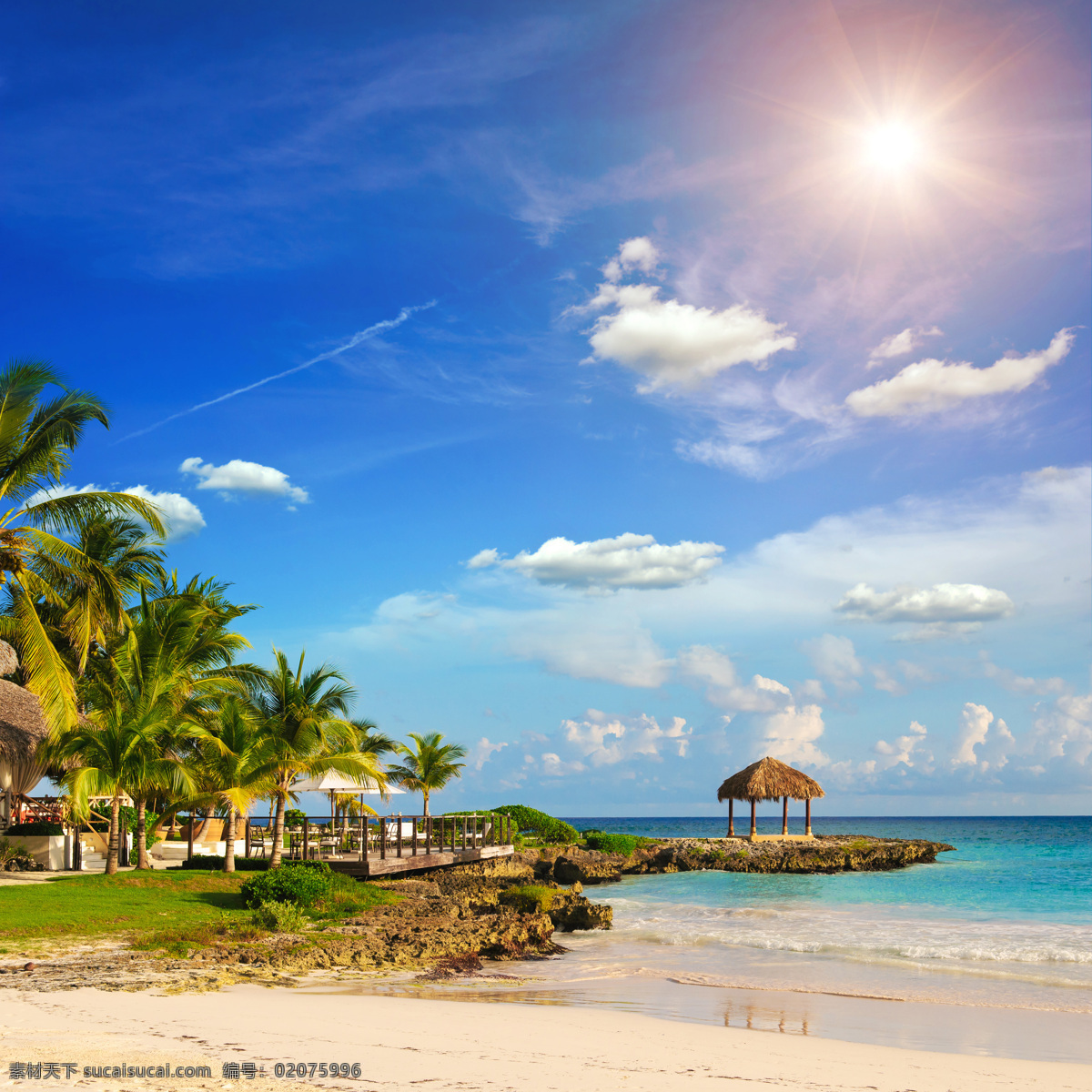 海边 度假村 植物 椰子树 大海 沙滩 蓝天白云 自然风光 休闲旅游 旅游景区 其他类别 环境家居
