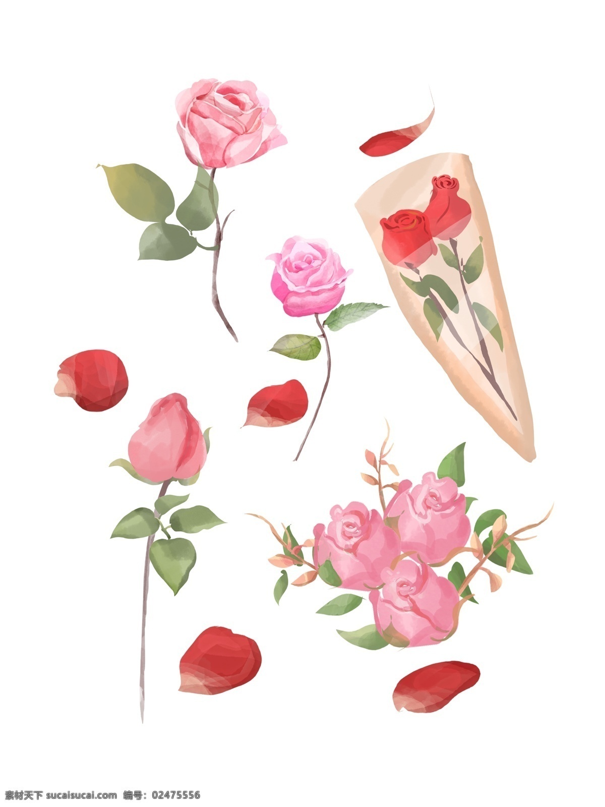 手绘 玫瑰 水彩 风 清新 植物 花卉 插画 元素 浪漫 唯美 商业 绘画 花草 免抠图 画 透明 手账 装饰 爱情 情人节