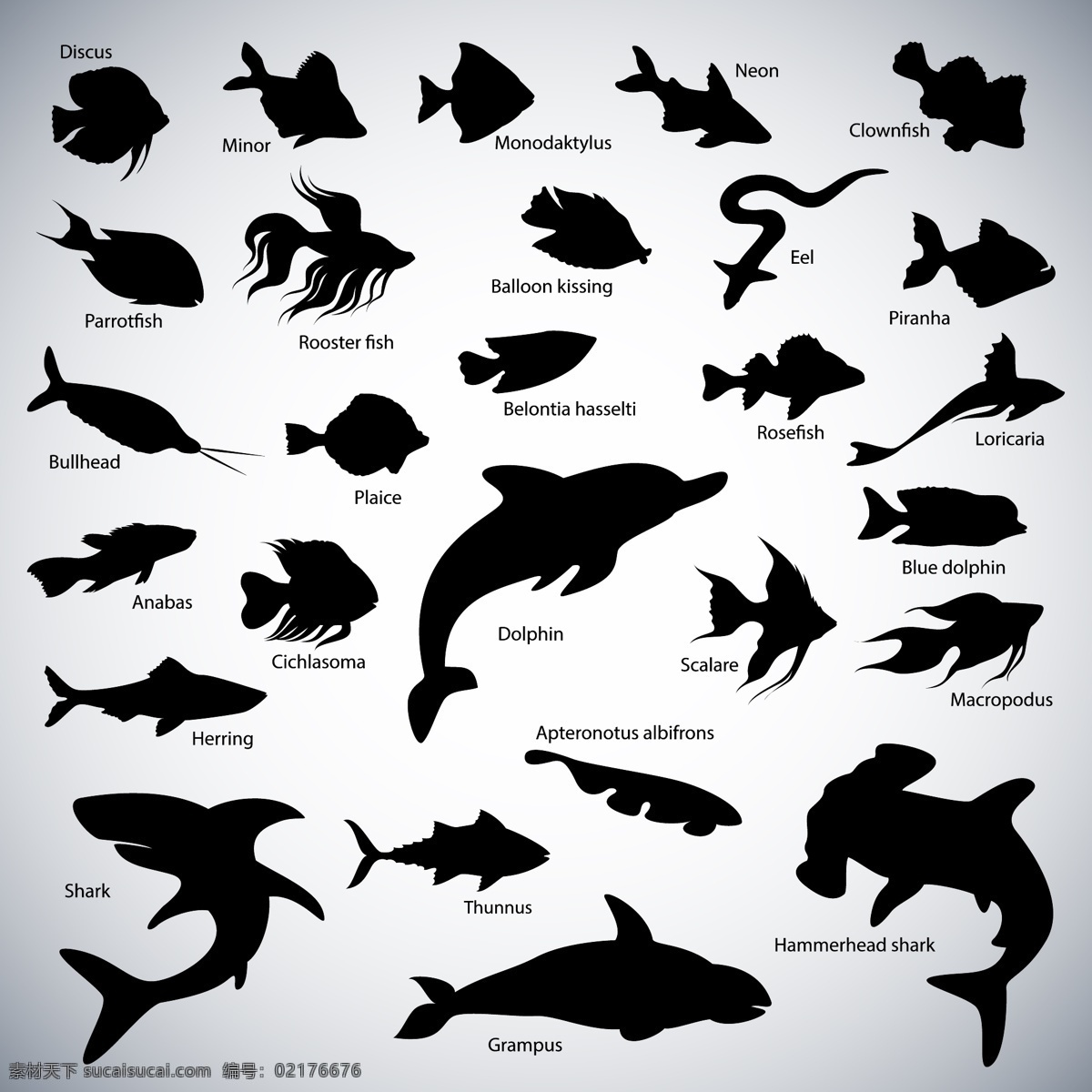 鲨鱼 深海鱼 鲸鱼矢量图 鱼素材 鱼