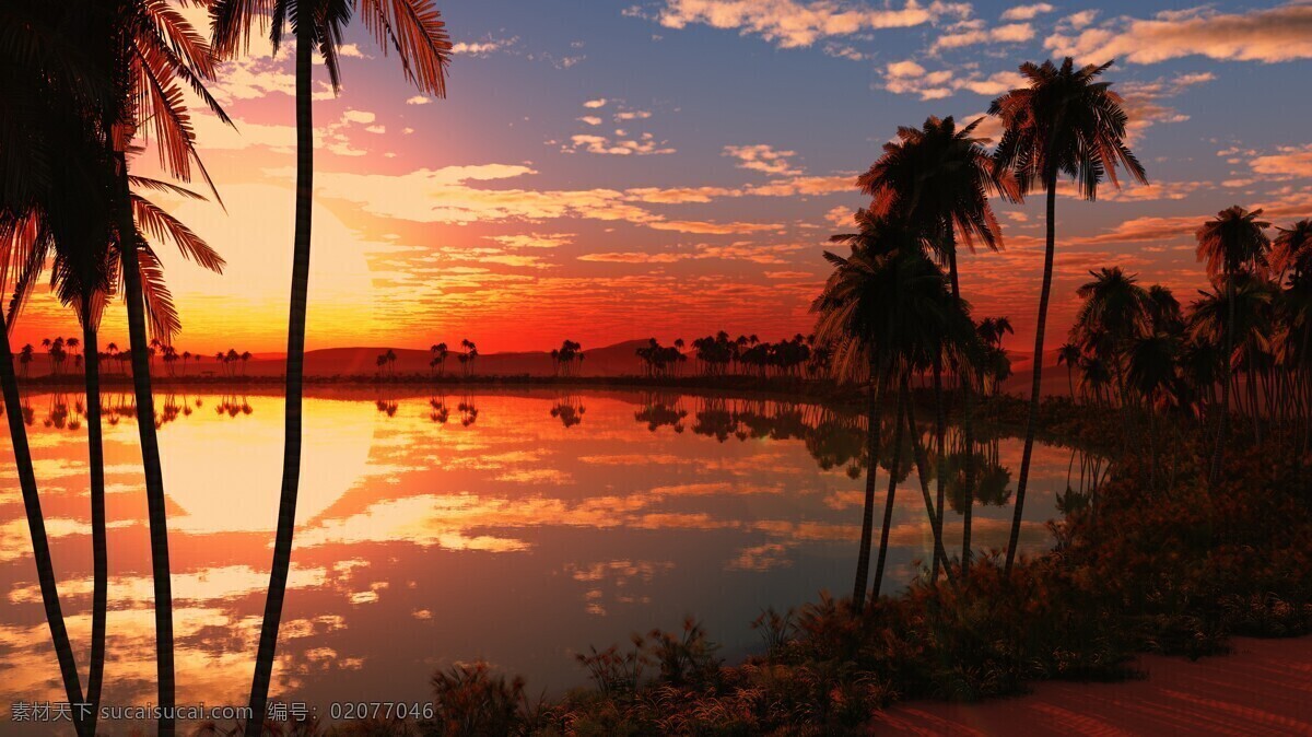 海边黄昏 景色 日落 彩霞 椰子树 自然景观 自然风景