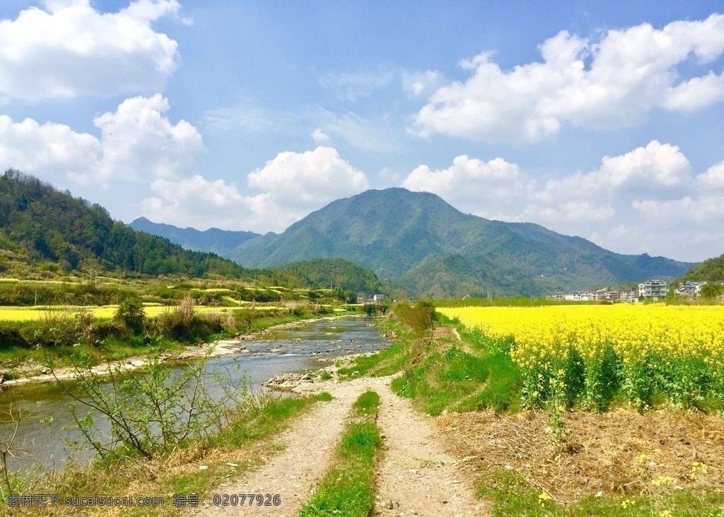 春色 田园 油菜花 风景 乡村 旅游摄影 自然风景