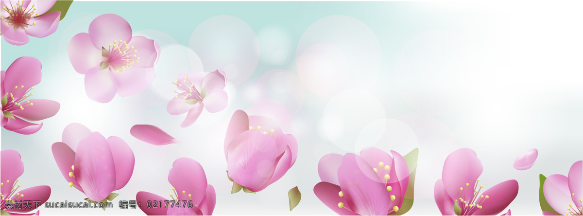 唯美 红色 花瓣 花朵 banner 背景 清新 花朵花瓣