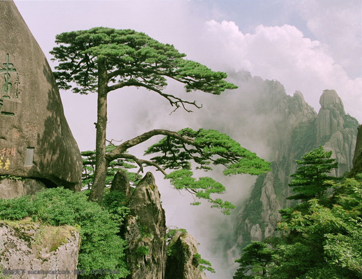 黄山 迎客松 云 薄雾 朝阳 自然风景 旅游摄影