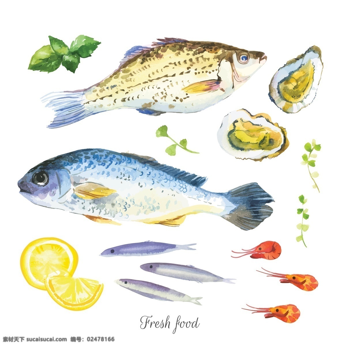 清新 水彩 绘 海鲜 插画 基围虾 柠檬 生蚝 手绘 水彩绘 鱼类