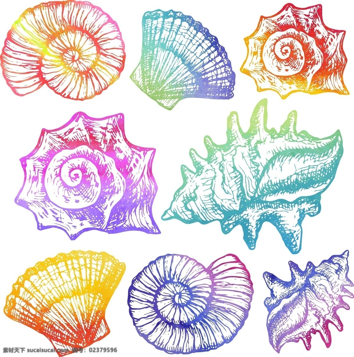 手绘 彩色 渐变 海螺 插画 贝壳 海洋 生物 唯美
