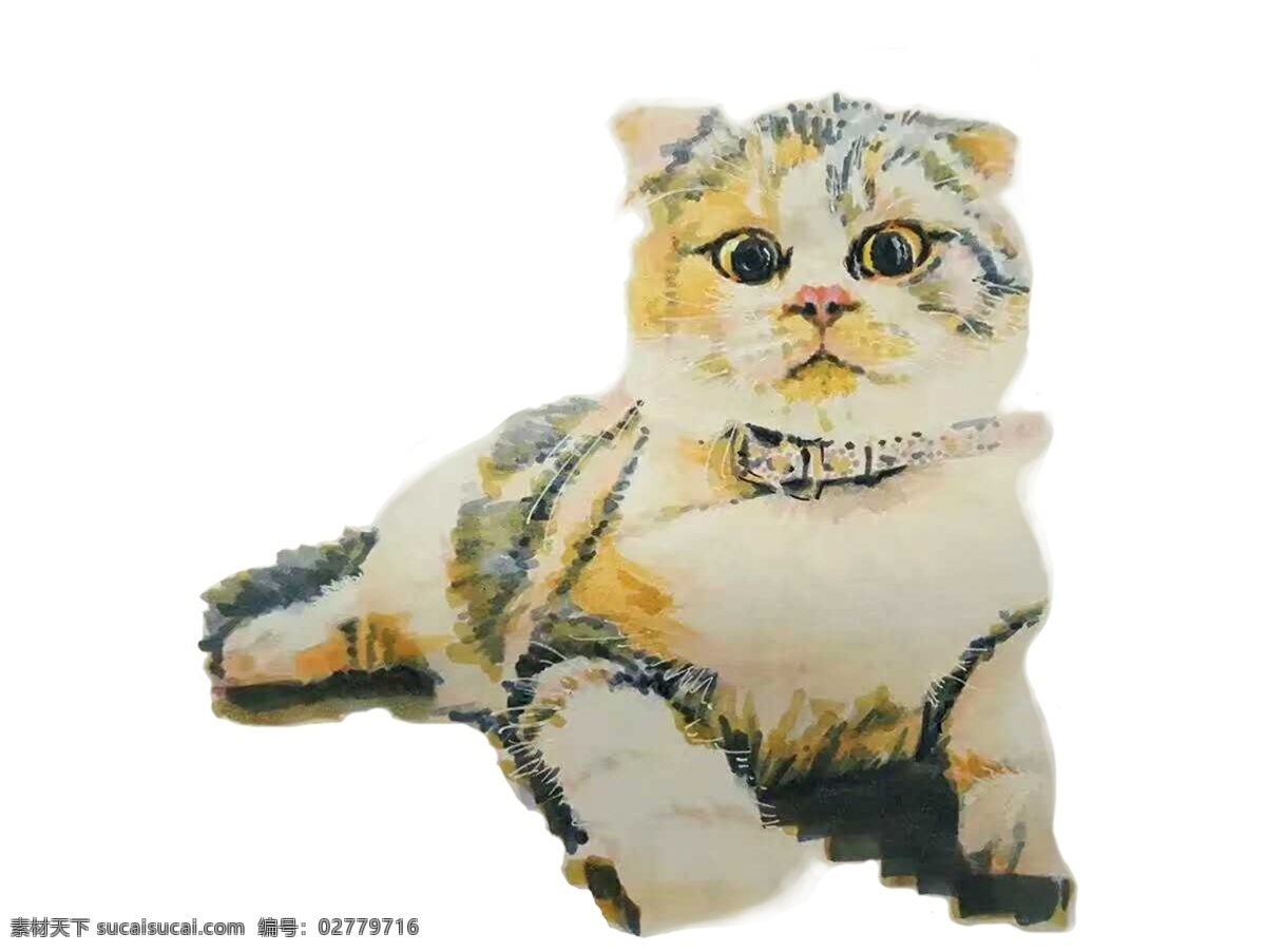 水彩 专注 猫 可爱 狗 透明背景