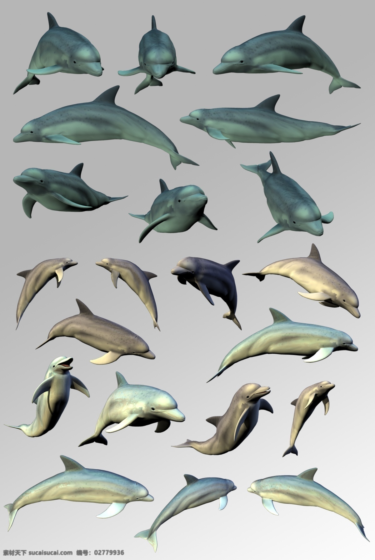 组 活泼 可爱 海豚 海洋生物 元素 海洋生物集合 psd分层 卡通鱼类 海底世界 海底生物 海洋 海洋素材 海豚素材 跳跃海豚
