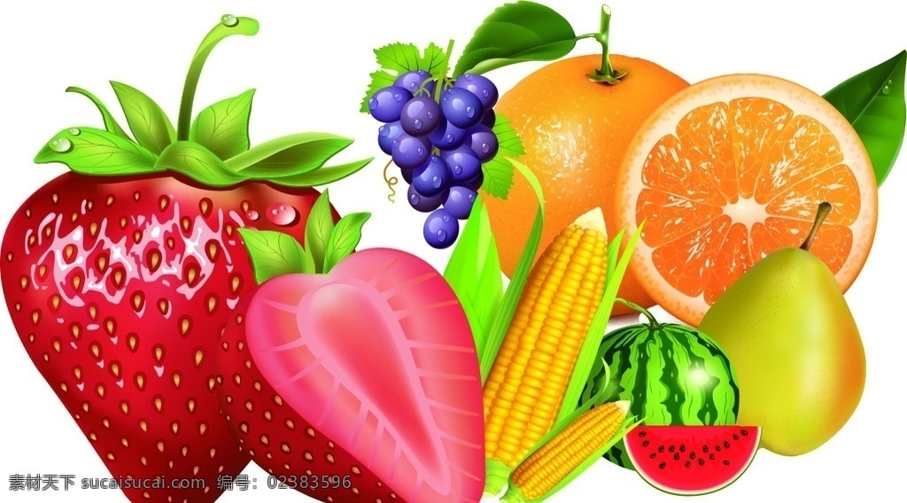 水果图集 矢量 草莓 葡萄 橙子 梨 玉米 西瓜 水果 矢量水果