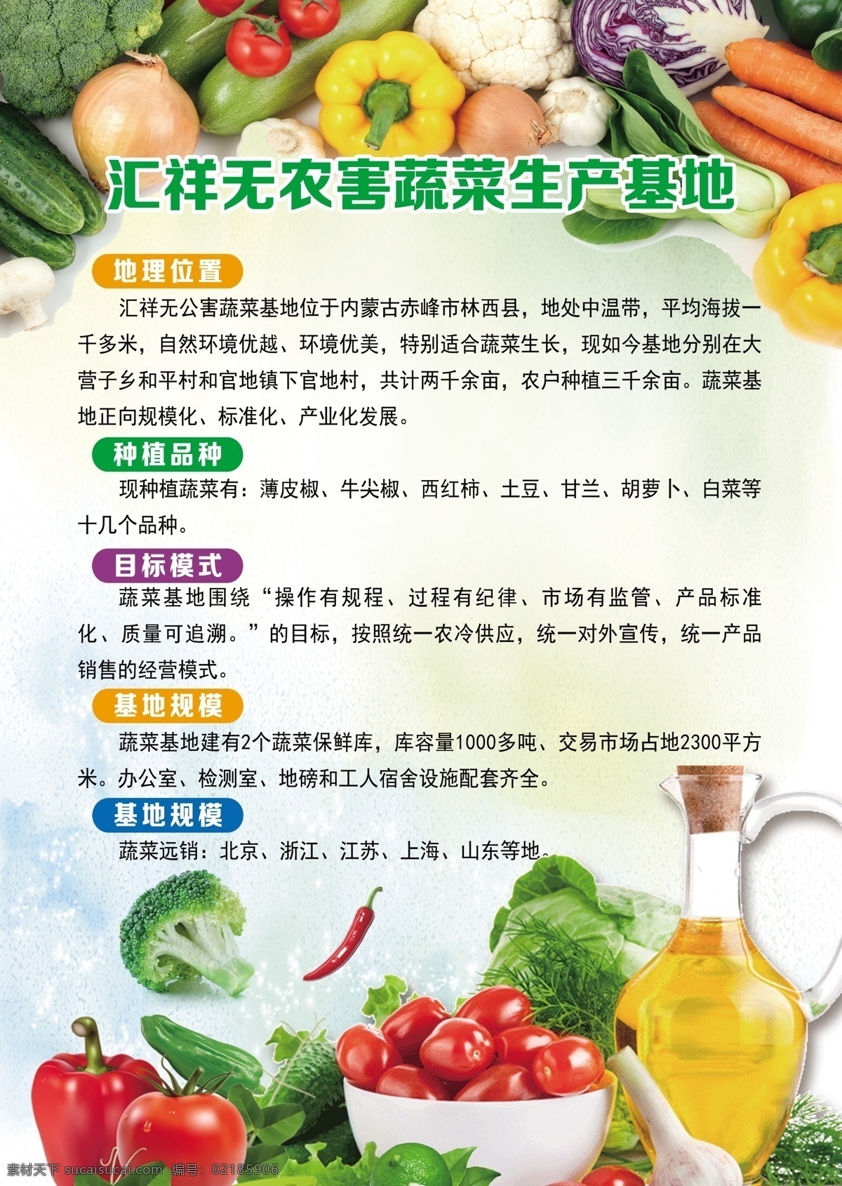 水果 蔬菜 宣传单 水果蔬菜 海报 彩页 生产基地 生产 宣传