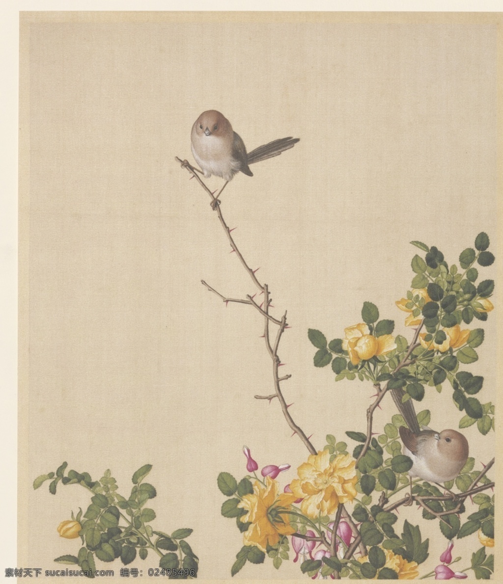花鸟 工笔 装饰画 清 郎世宁 花鸟浅色 飞禽绘画 鸟儿绘画 临鸟谱 涂鸦画 花卉图 花卉 鸟雀 风景画 花卉写生 植物花朵绘画 中国风 花草绘画 蝴蝶昆虫绘画 复古绘画 名家绘画 清代画家 花卉集 字画 水彩植物 花鸟册 中国画 工笔画 工笔画鸟 古代 花鸟鱼虫 植物图谱 植物图集 画家绘画 树枝 历代 国画 文化艺术 绘画书法