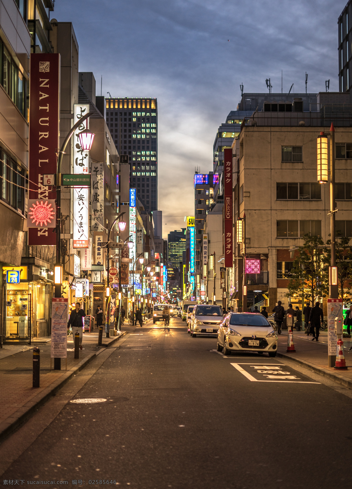 东京图片 日本 东京 东京铁塔 日本皇宫 日本迪士尼 浅草寺 日本街头 东京街头 日料 和服 旅游摄影 国外旅游