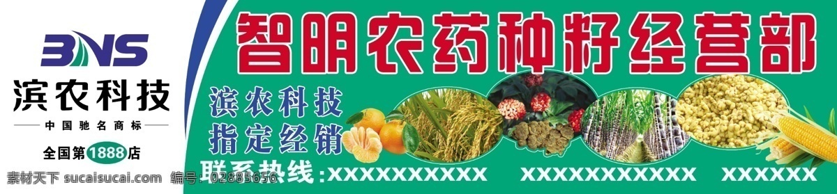 滨农科技 滨农标志 水稻 滨农科技门头 果实 农作物 展板 背景素材 分层 源文件