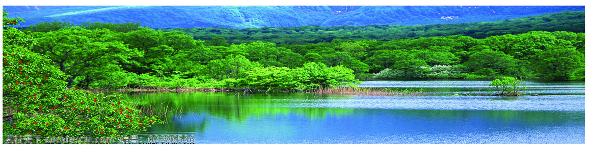 树免费下载 风景 山水风景 摄影图 树 植物 自然景观 水 家居装饰素材 山水风景画