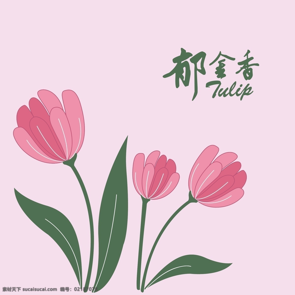 郁金香 粉色花 手绘花 花朵 花儿 粉色底纹 花纹 背景 矢量素材 底纹背景 底纹边框 花边花纹