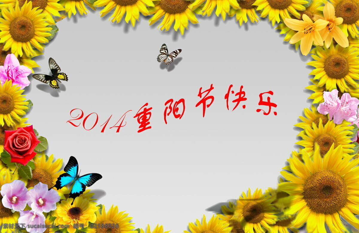 2014 重阳节快乐 重阳 重阳节 节日快乐 黄色花朵