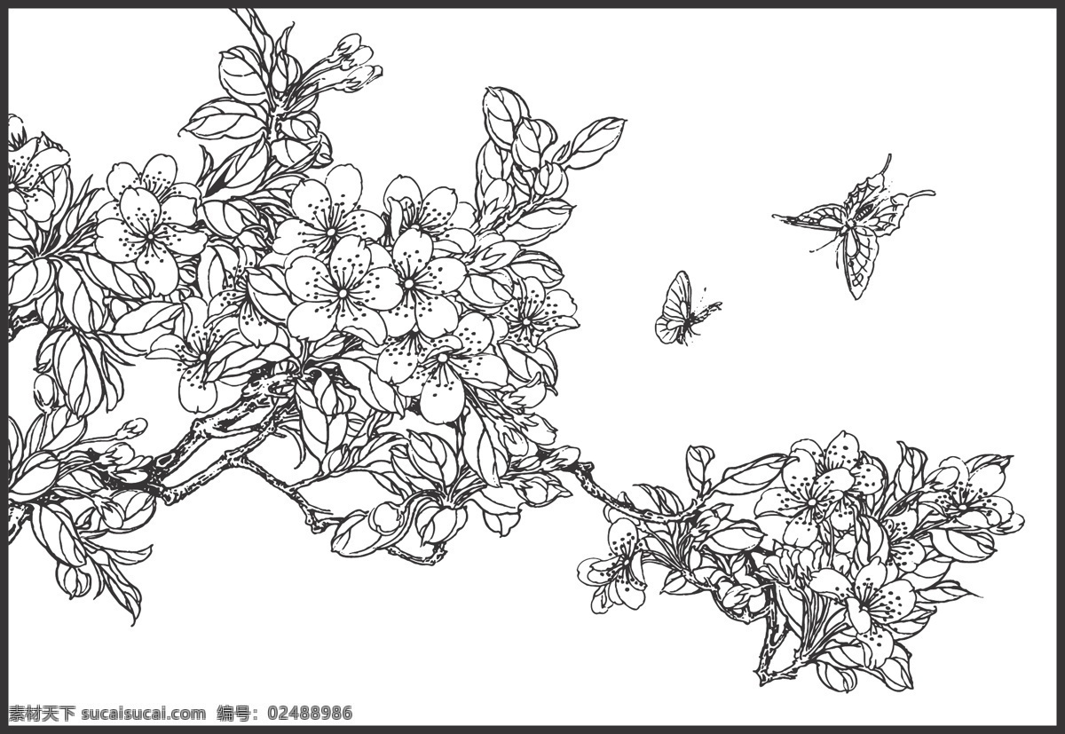 梨花 植物 花卉 观赏 香味浓烈 装饰 线条 矢量 插画 白描 春季开花 花色洁白 如同雪花 蝴蝶 文化艺术 绘画书法