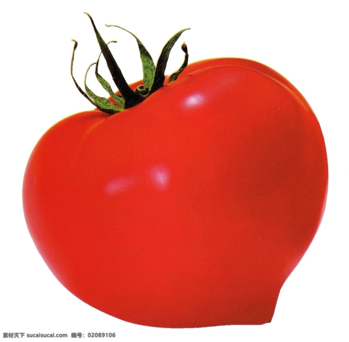 番茄 免抠 番茄素材 psd源文件
