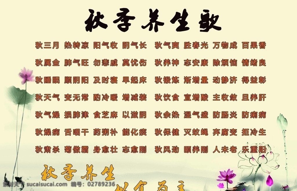 秋季养生歌 荷花 背景图 养生歌