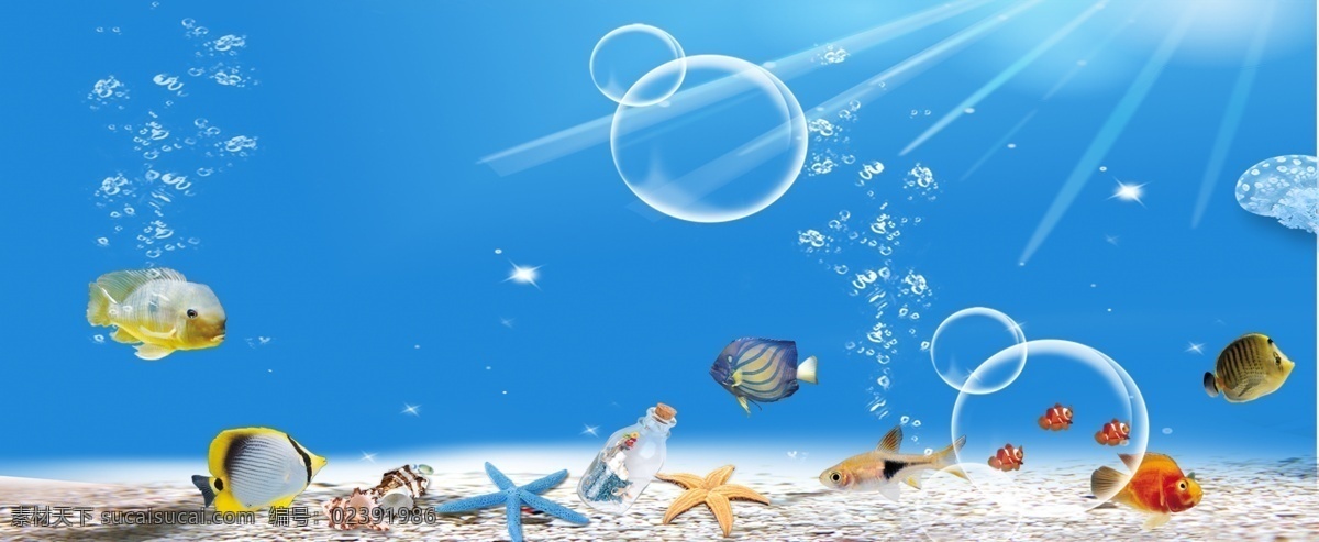 海洋背景 海景 海景风景 海底世界背景 海底世界风景 海底世界 生物世界 鱼类