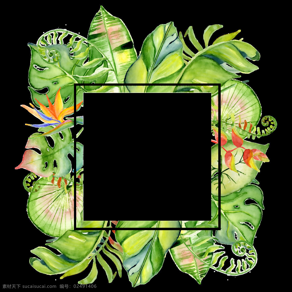 手绘 正方形 叶子 框架 透明 鹤望兰 橘色 绿色 免扣素材 水彩 透明素材 香蕉叶 装饰图案