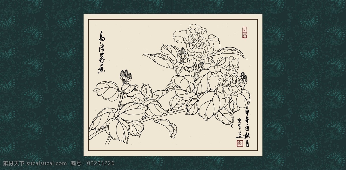 朱槿 绘画 白描 线描 手绘 国画 毛笔画 工笔 轮廓 印章 书法 装裱 植物 花卉 花草 花鸟 昆虫 白描花卉 文化艺术 绘画书法