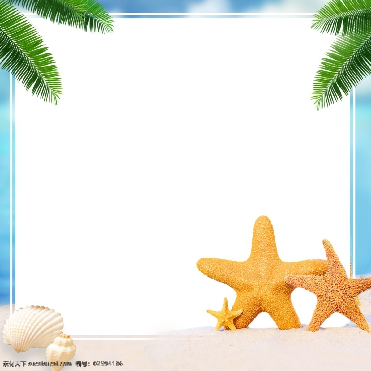 海星 唯美 相册 背景 源文件 夏日 海边 广告 海洋 夏威夷 度假 海螺 夏天 平面 手机淘宝