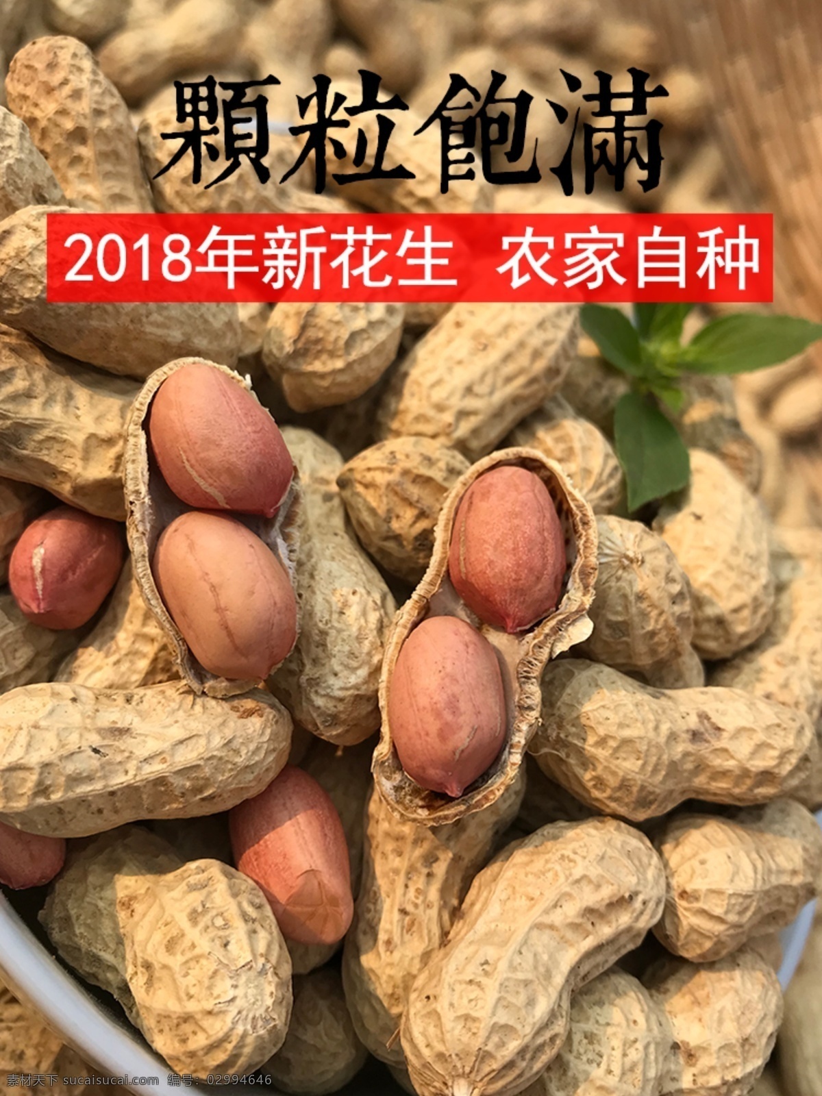 花生素材图片下载-素材编号02994646-素材天下图库