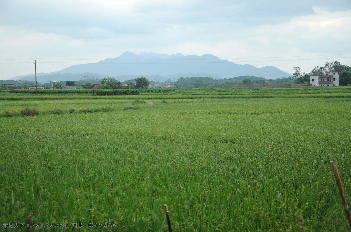 田园 风景 图 风景画 绿色 自然风景 自然景观 田园风景图 家居装饰素材 山水风景画