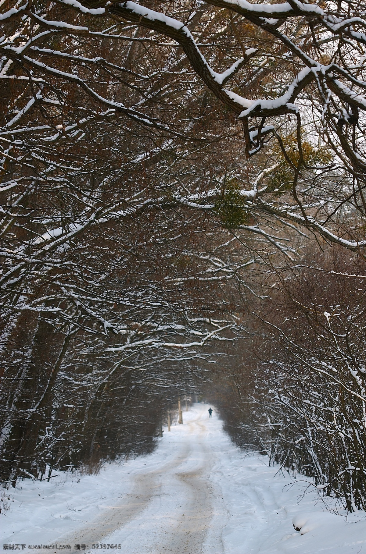 冬季 美丽 雪景 冬天雪景 美丽风景 美丽雪景 白雪 积雪 风景摄影 树木 树林 雪地 雪景图片 风景图片