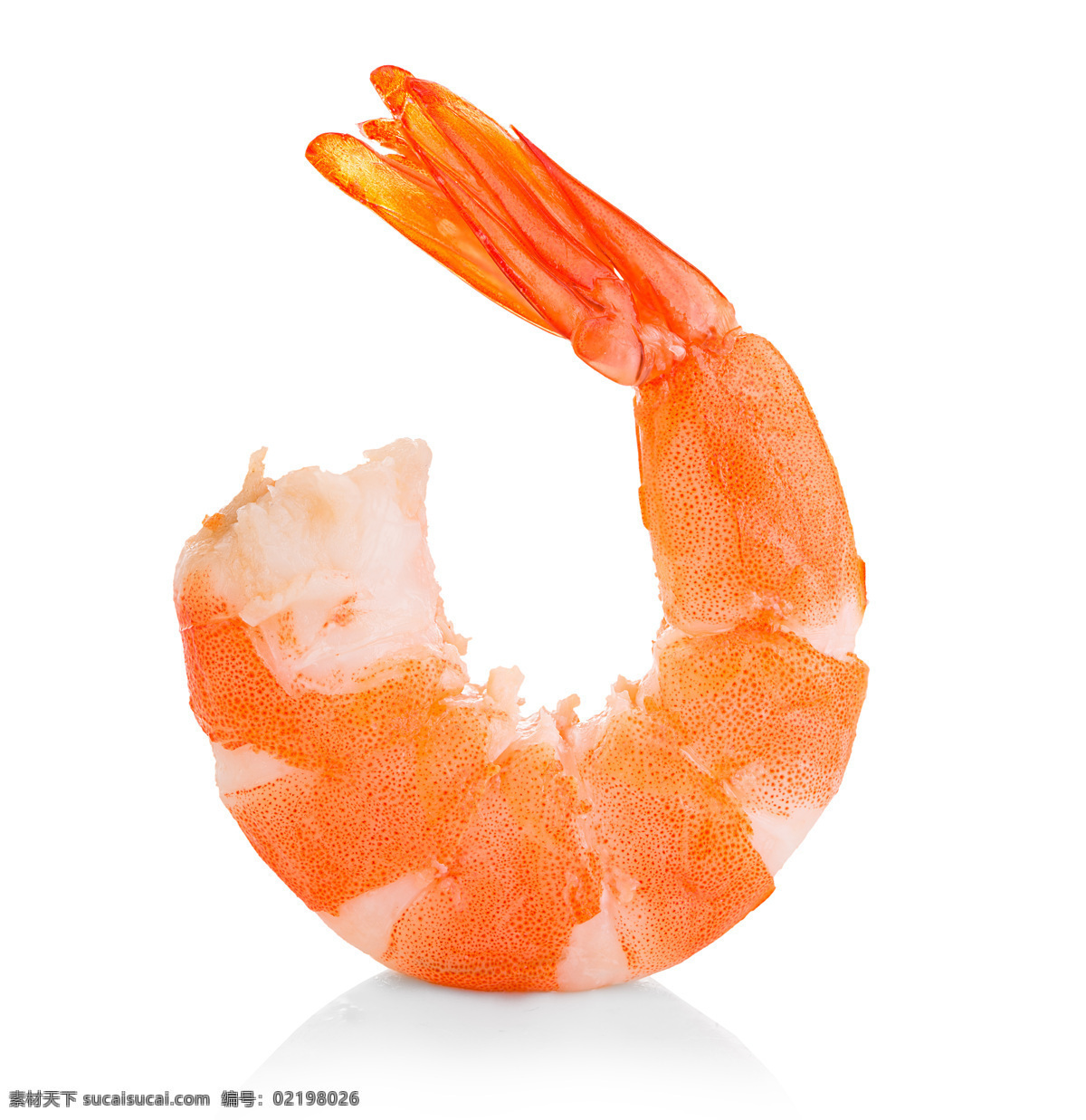 虾仁 大虾 红虾 海鲜 海虾 蒸虾 虾 生物世界 海洋生物 餐饮美食 西餐美食
