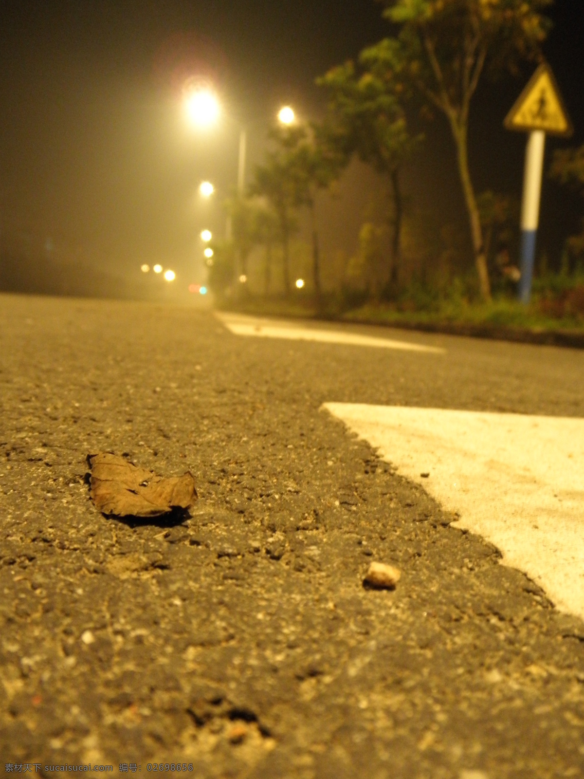 残夜 夜晚 马路 树叶 地面 路牌 灯光 夜景 路 城市景观摄影 国内旅游 旅游摄影