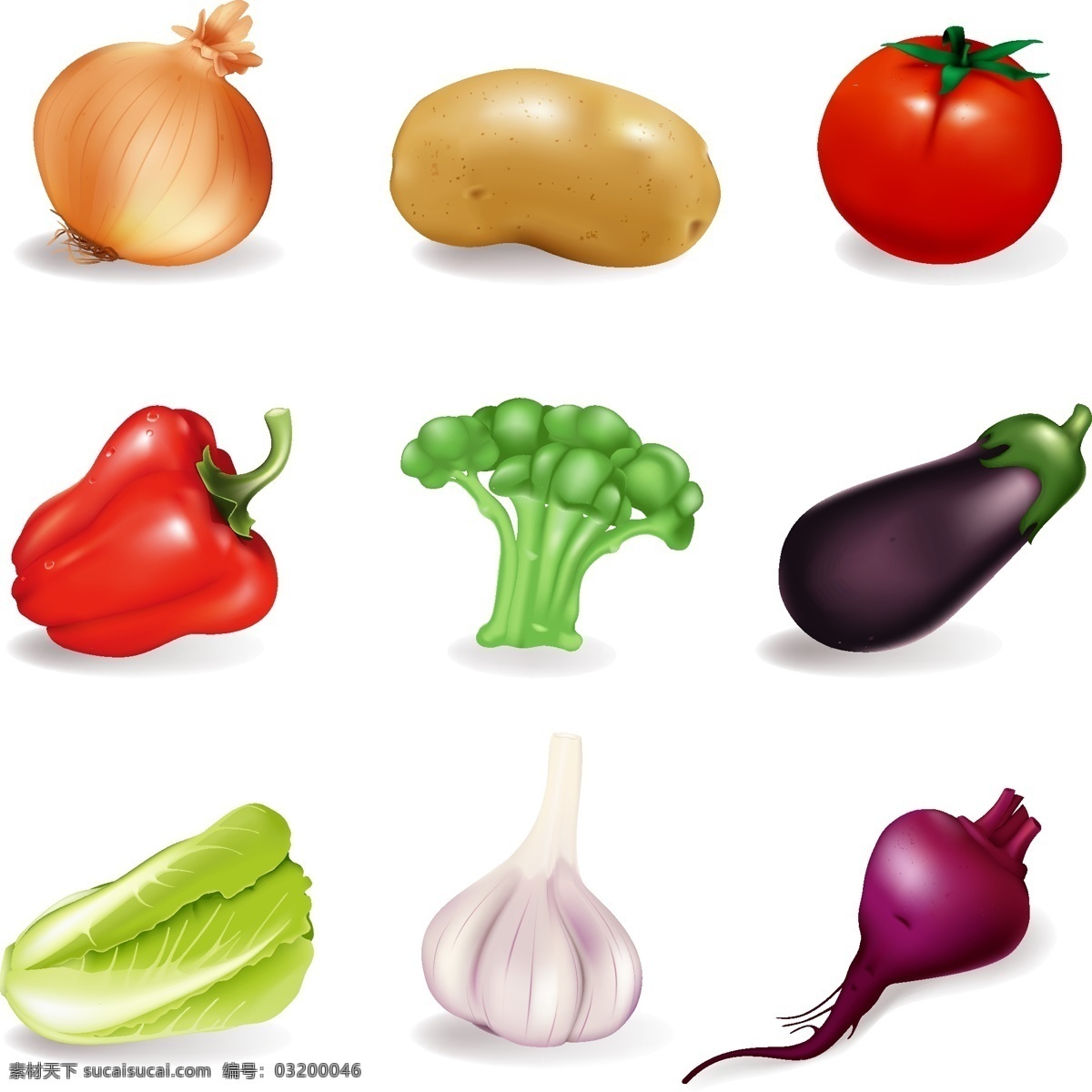 蔬菜矢量 洋葱 土豆 番茄 西兰花 茄子 手绘 生活百科 餐饮美食 白色