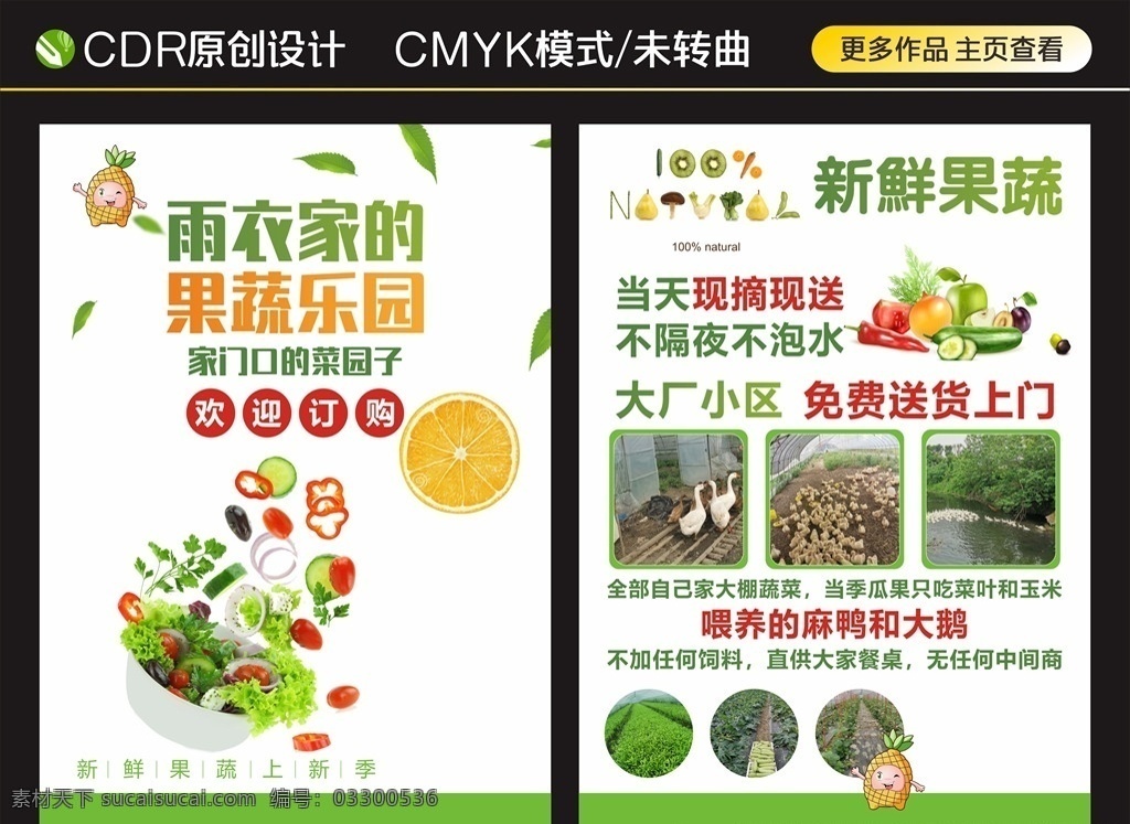 果蔬乐园 新鲜果蔬 宣传单 新鲜直送 水果 免费送货 种植 果树 鸭子 dm宣传单