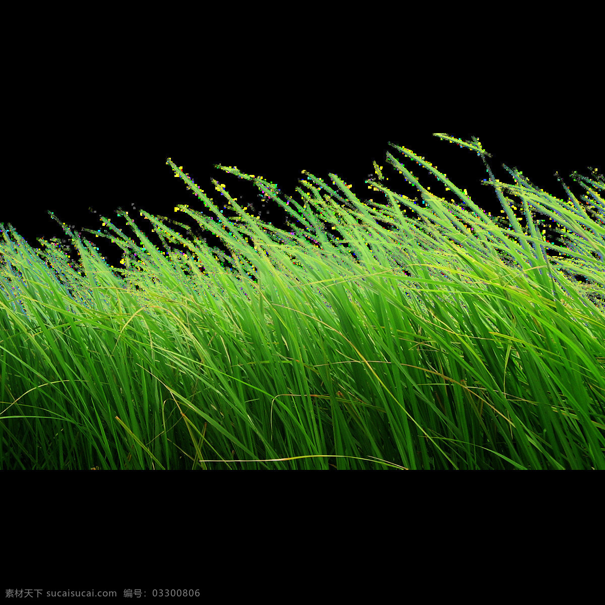 绿色 小草 元素 漂浮 春天 植物 手绘