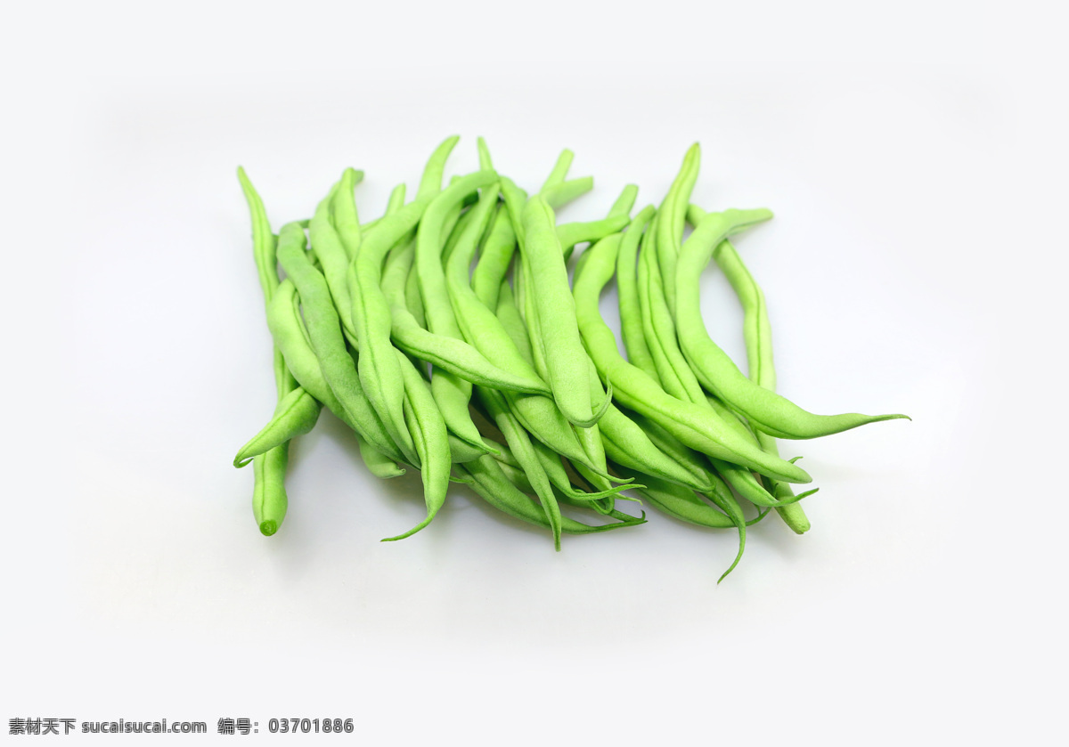 绿色植物 四季豆 食物 蔬菜 新鲜 生物世界 分层