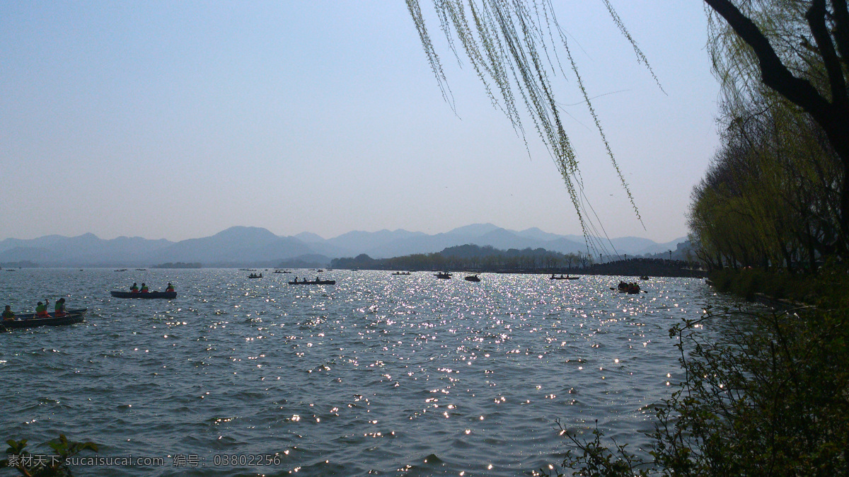 西湖 杭州 西湖美景 碧波 湖水 湖面 风景 柳树 山水 旅游 国内旅游 旅游摄影