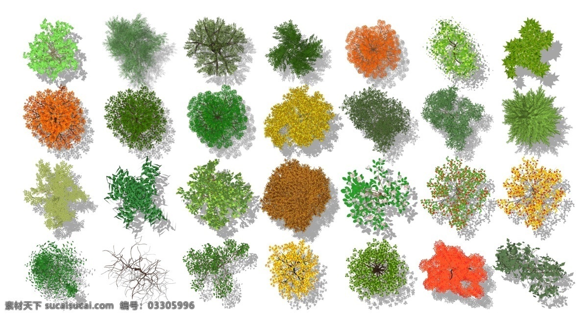 园林植物 植物景观 植物 乔木 植物素材 树木 白色