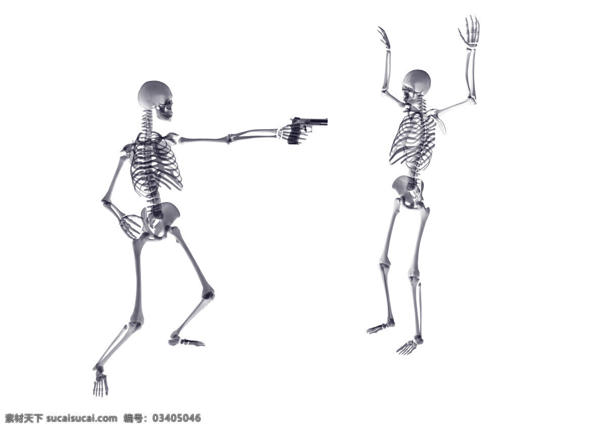 骷髅 打劫 骨骼 人体结构 骨头 骨头组织 其他类别 生活百科