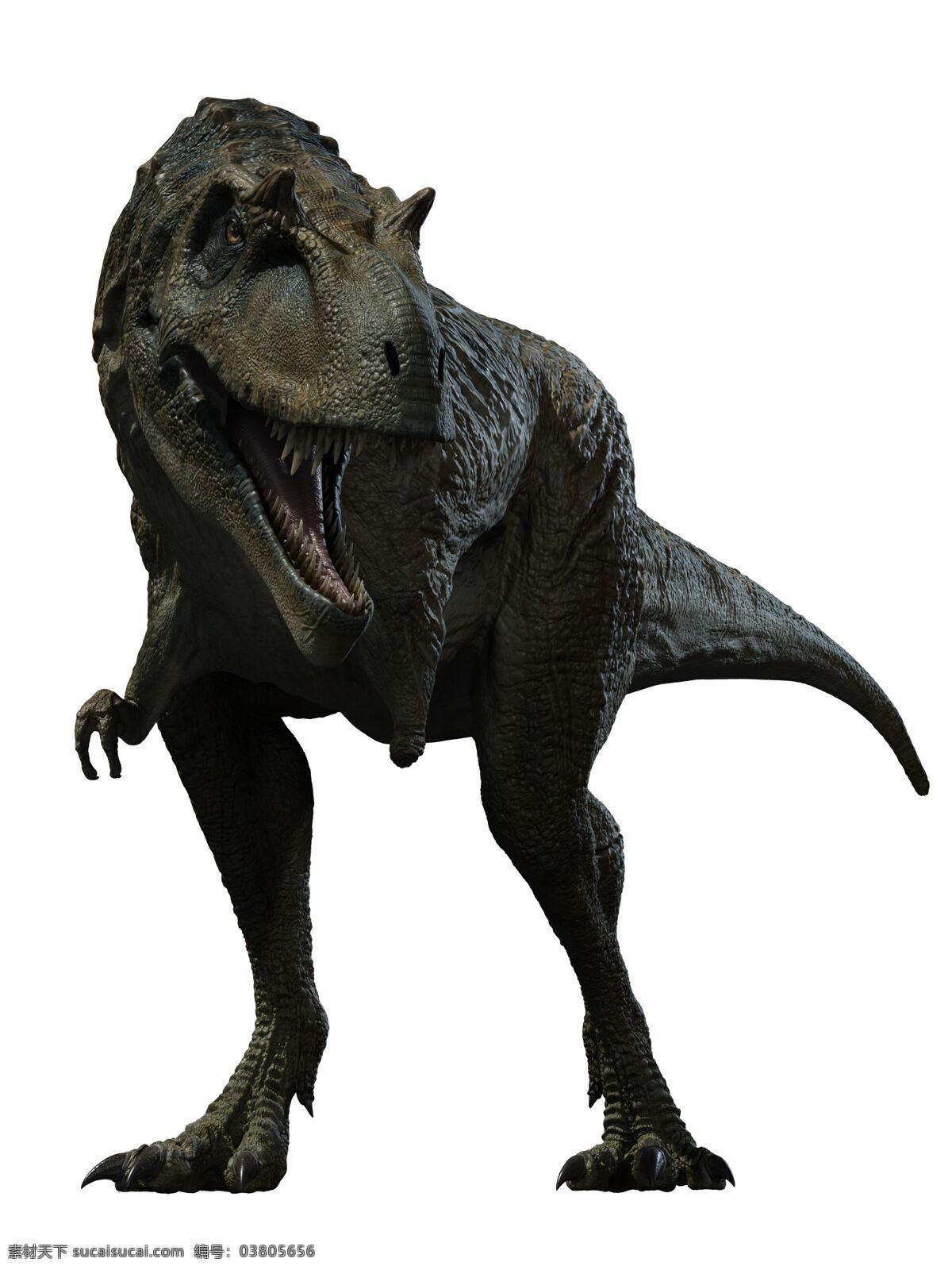 霸王龙 食肉龙 雷克斯暴龙 侏罗纪 恐龙 白垩世界 暴龙 猛兽 史前生物 生物世界 白色