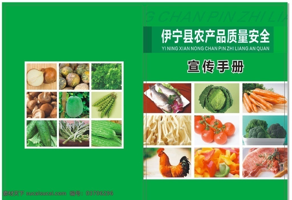 农产品 质量安全 手册 质量 安全手册 封面 果蔬 食物 胡萝卜 西红柿 西兰花 金针菇 鱼 洋葱 香菇 黄瓜 苦瓜 矢量