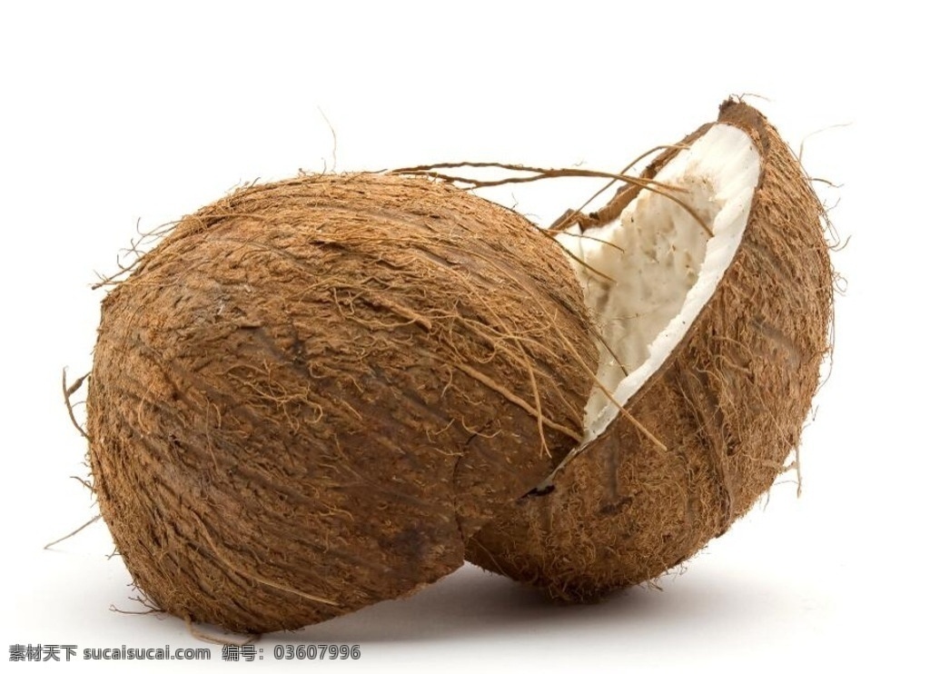 椰子壳 未分层 果壳 椰子 椰壳 壳 生物世界 水果