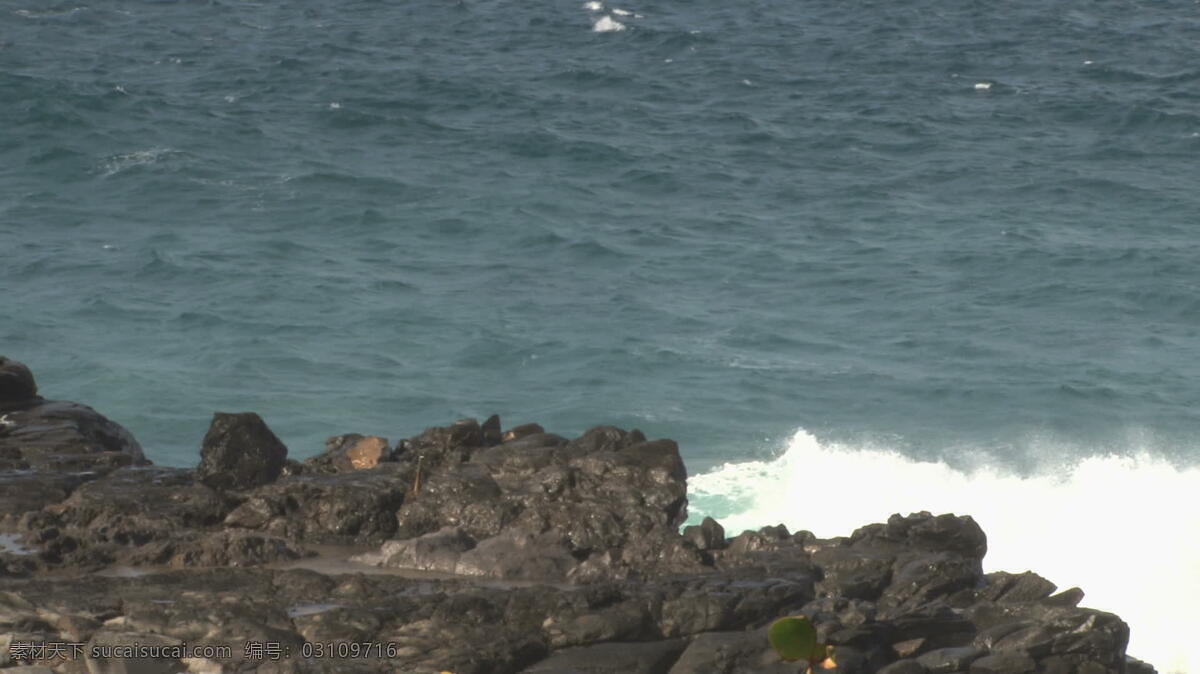 巨大 海浪 撞击 岩石 股票 视频 飞溅 海洋 碰撞 视频免费下载 太平洋 雾 巨大的海浪 夏威夷岩 其他视频