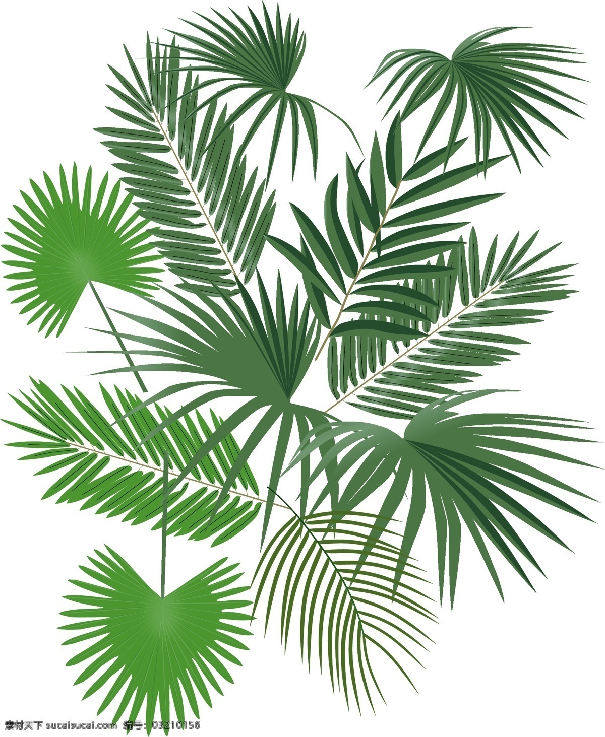 叶子 绿色 热带植物 印花 底纹 其他素材 底纹边框