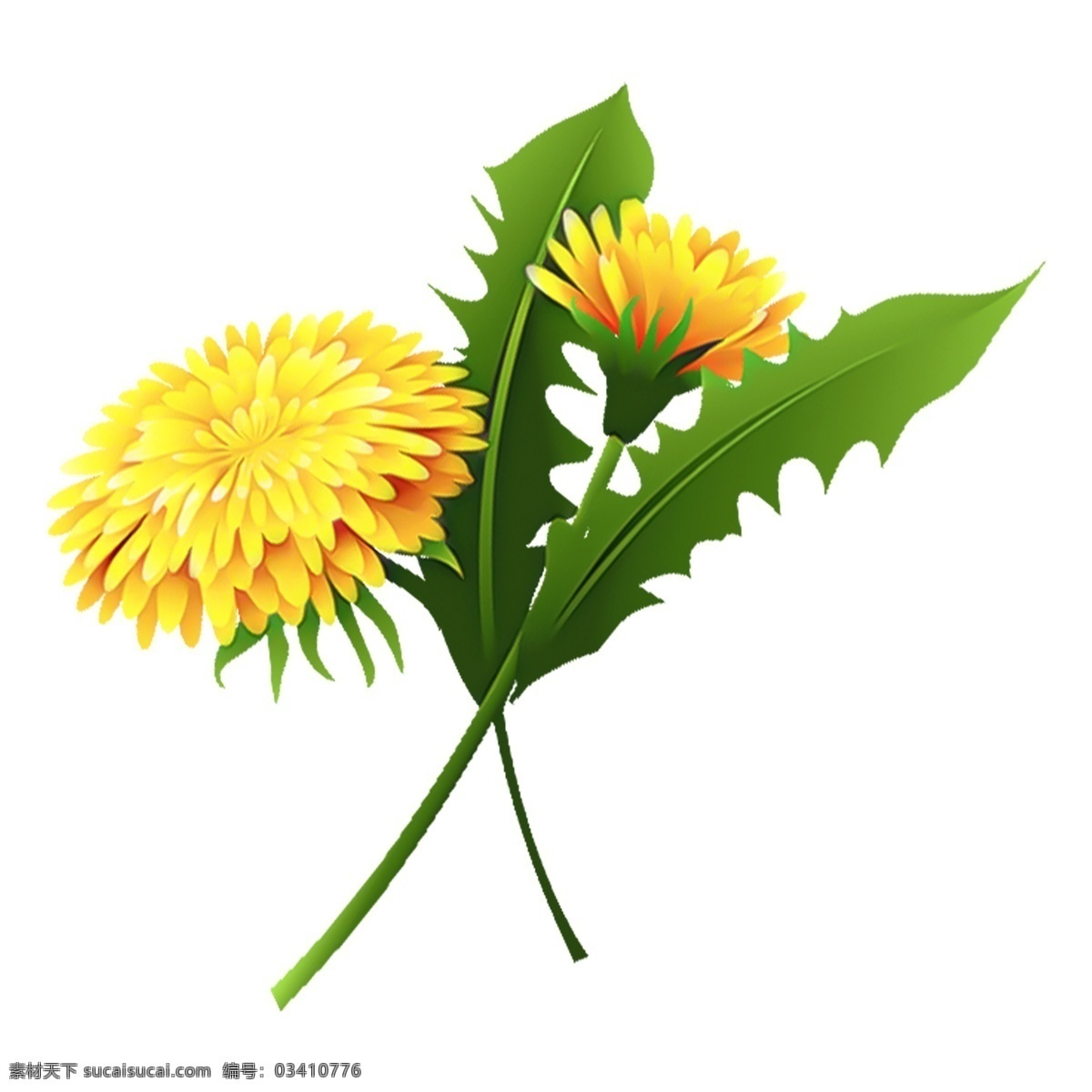 手绘 花卉 卡通 透明 鲜花 png免抠图 透明素材 装饰 免 抠 图 花朵