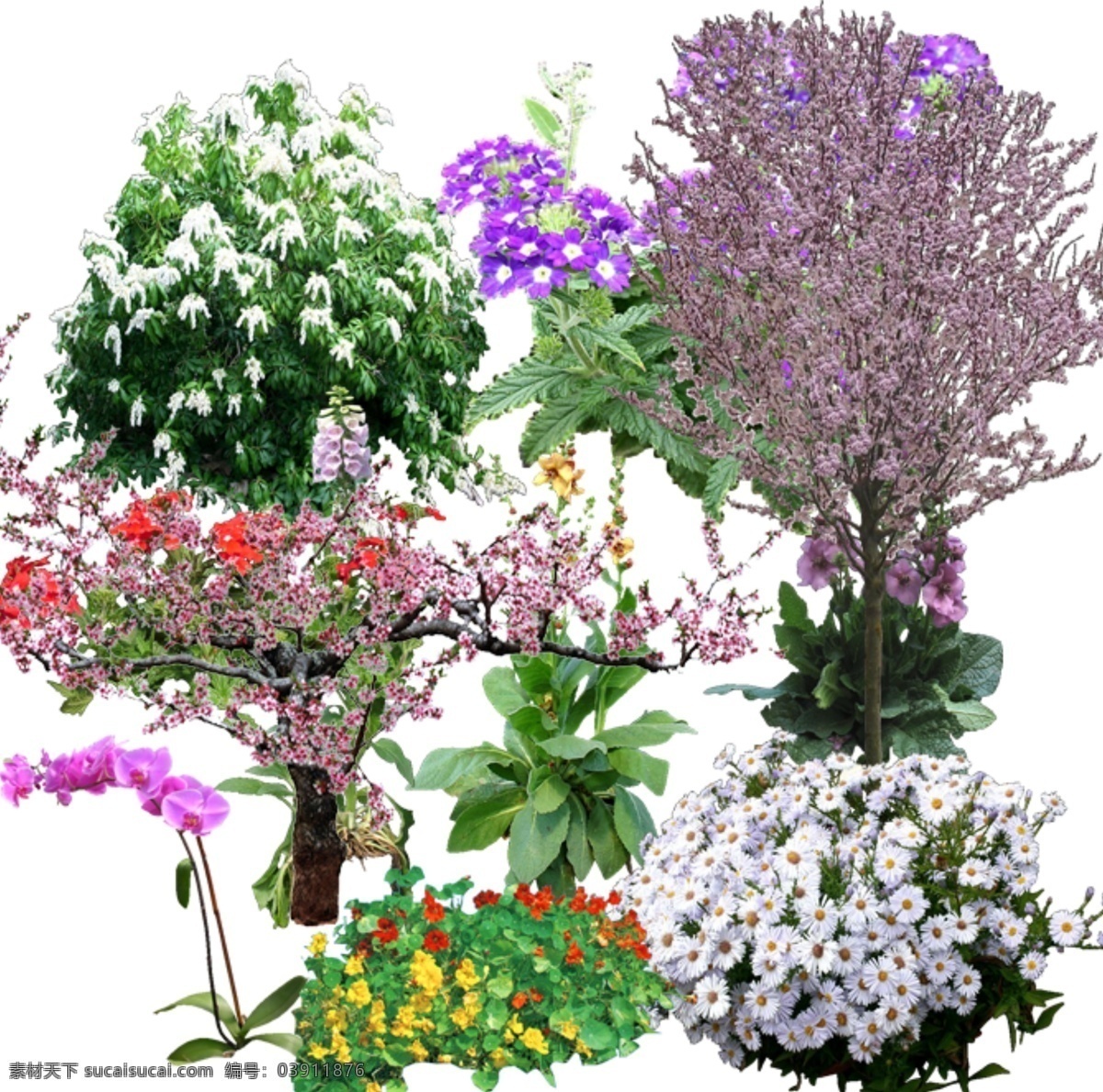 景观 ps 效果图 后期 植物 花卉 环境设计 景观设计