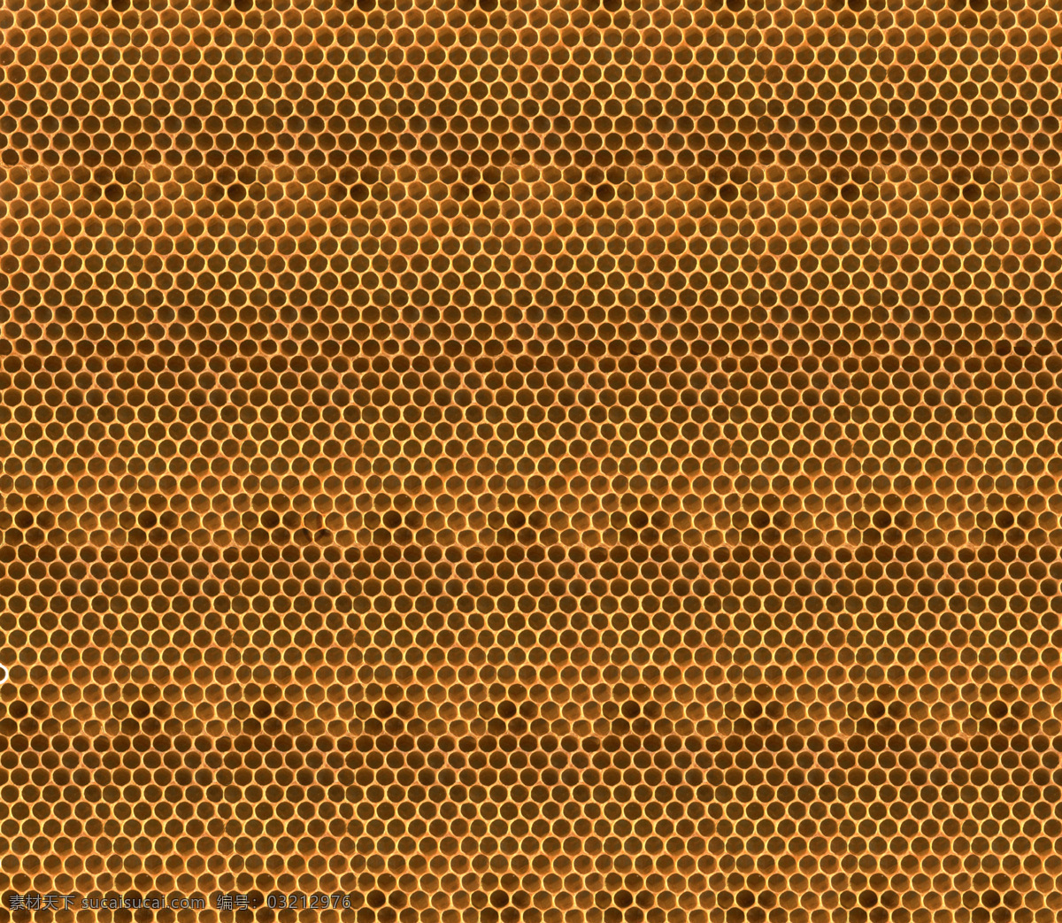 蜂窝 蜂巢 蜂蜜 昆虫 蜜蜂 摄影图库 生物世界 一群蜜蜂 蜜糖