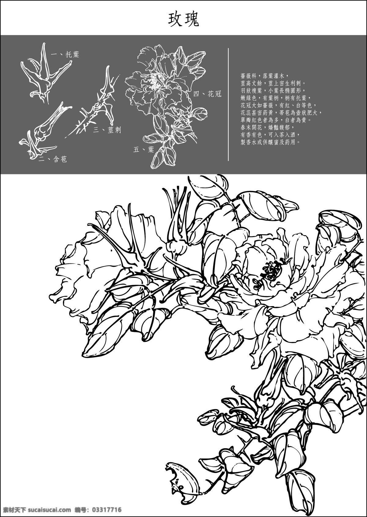 图 中国 传统 工笔画 笔法 细腻 注重细节5 艺术的载体 载体的写意画 关闭 细节 平 细 白色